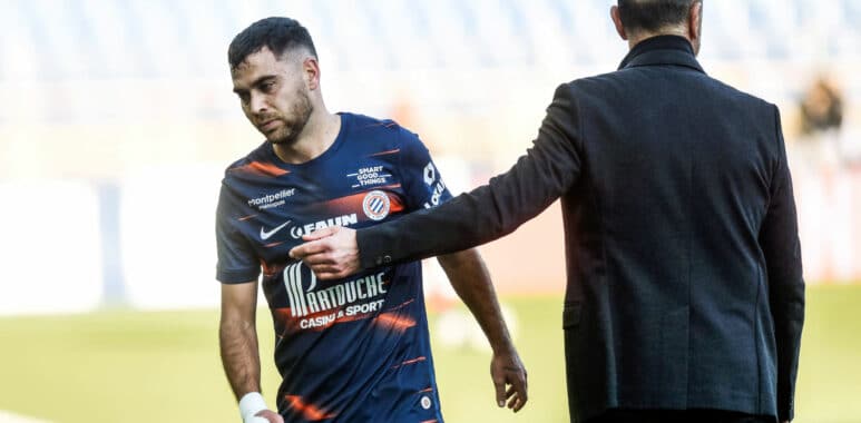 Savanier Der zakarian | AllezPaillade.com