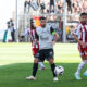 Savanier | AllezPaillade.com