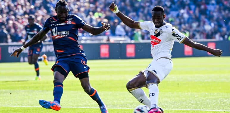 Sylla | AllezPaillade.com