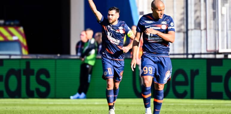 Savanier | AllezPaillade.com