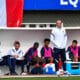 Lionel ROUXEL | AllezPaillade.com
