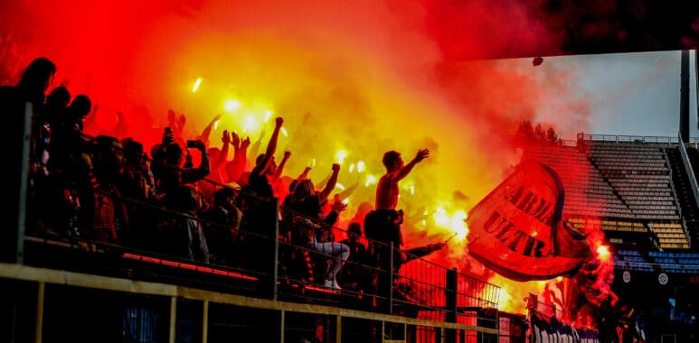 Amata fumigènes | AllezPaillade.com