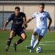 Estève Dallinga | AllezPaillade.com