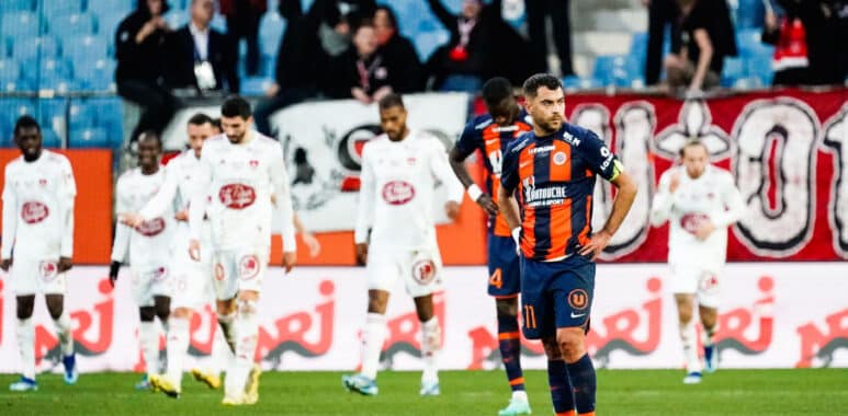 Savanier | AllezPaillade.com