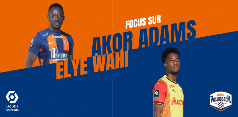 wahi-adams | AllezPaillade.com