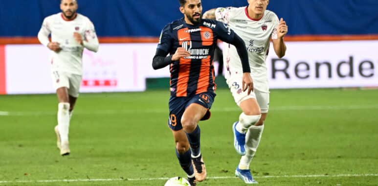 Tamari | AllezPaillade.com