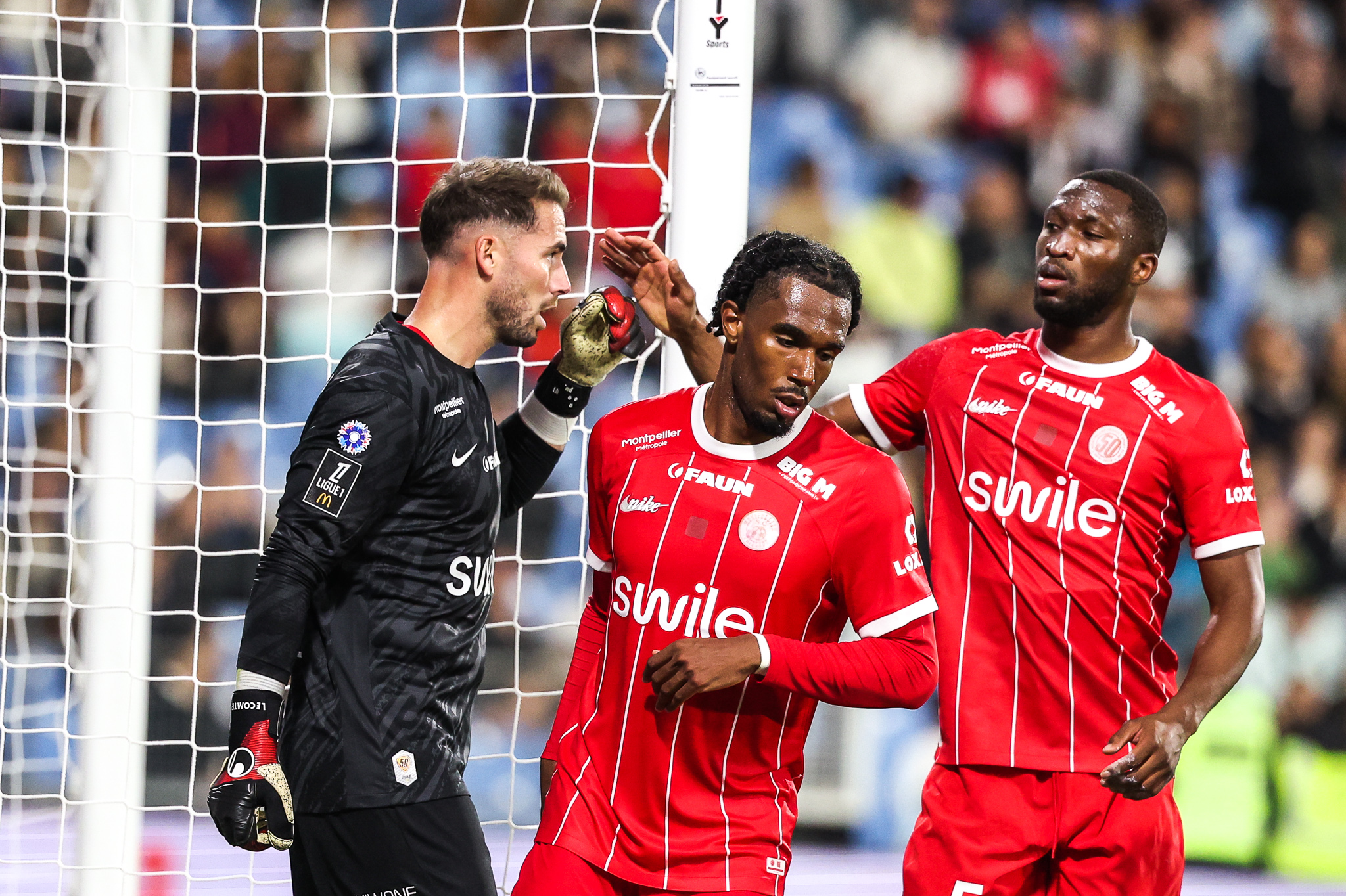 Lecomte Maignan | AllezPaillade.com