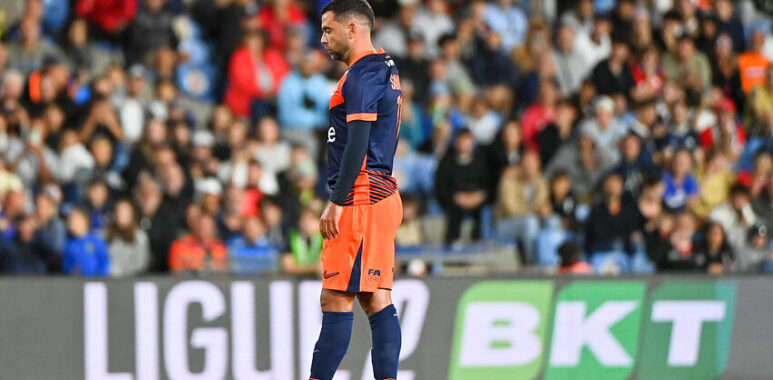 Savanier | AllezPaillade.com
