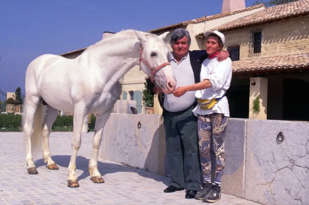 3 | AllezPaillade.com