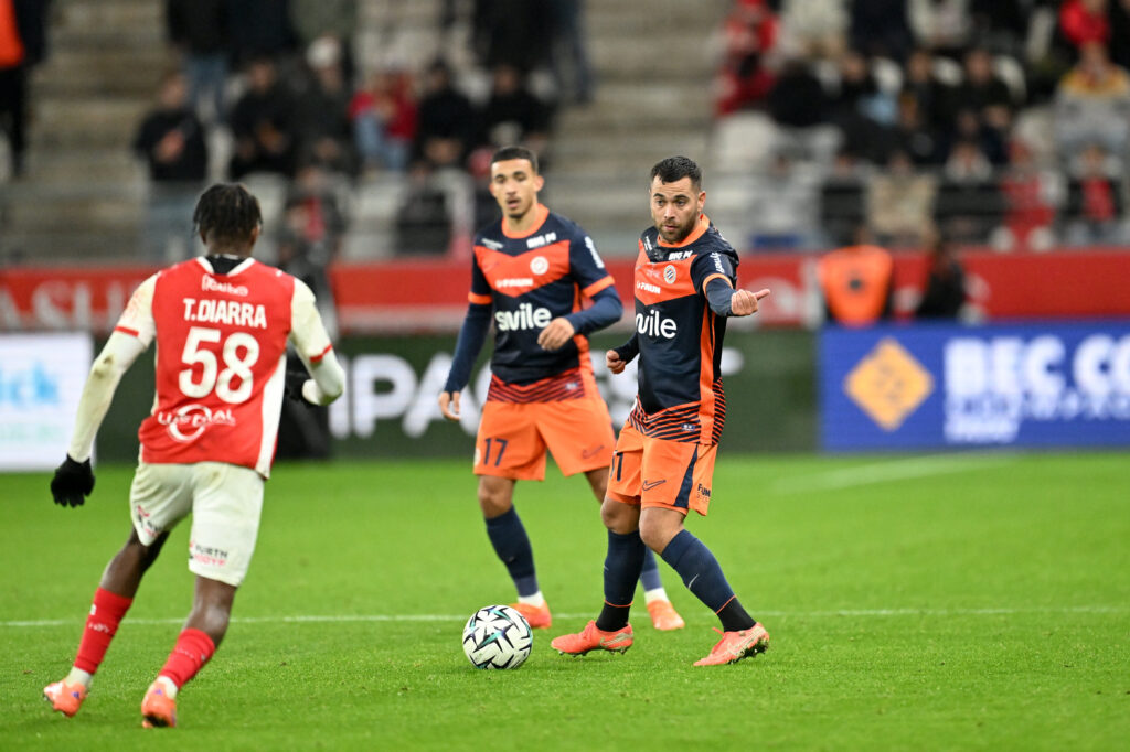 Savanier | AllezPaillade.com