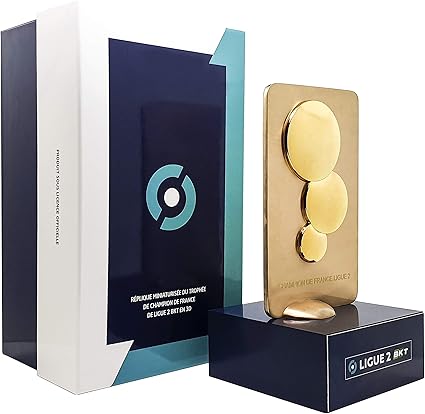 81QjxFrlmEL_AC_SX425_ | AllezPaillade.com