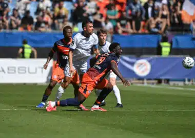 Soccer players from two teams chase the ball during a daytime match on a green field with a cheering crowd in the stands behind them.