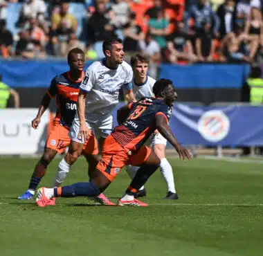Soccer players from two teams chase the ball during a daytime match on a green field with a cheering crowd in the stands behind them.