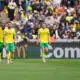 Soccer players in yellow and green kits walk on a grass field as a crowded stadium watches the match.