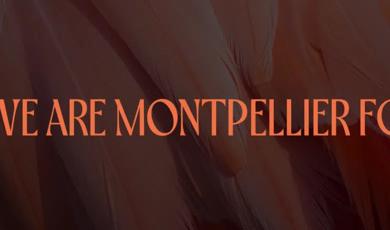 737384071_122120408631254256_2813679620022756204_n | AllezPaillade.com Banner with coral text 'WE ARE MONTPELLIER FC' over a dark red feathered background.