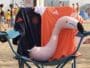 Pink inflatable flamingo resting on a blue beach chair, draped with dark blue and orange towels bearing logos.