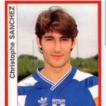 Illustration du profil de lours